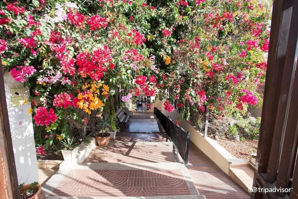 Pool & Gardens - Alisios Playa Appartamento *