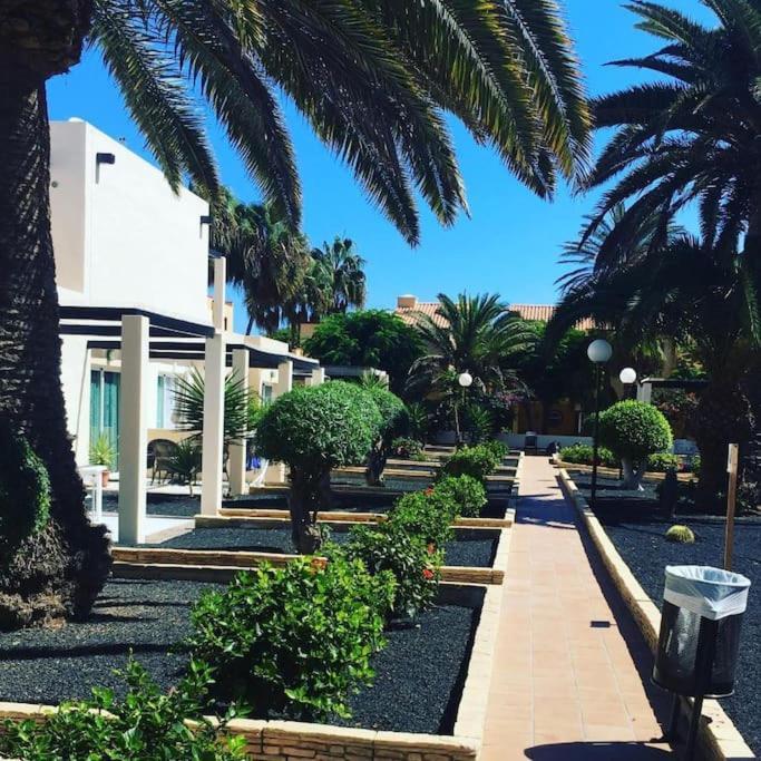 Appartamento Pool & Gardens - Alisios Playa *